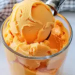 Ninja Creami Orange Sorbet